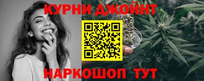 индика Кинель