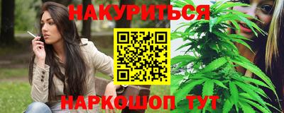стаф Кингисепп